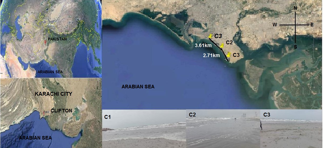 Macrobenthic Community Structure